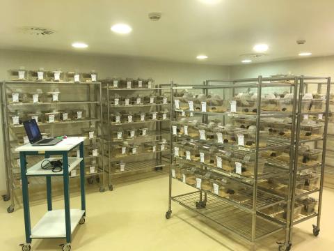 Animal Housing and Experimentation Service: SEEA